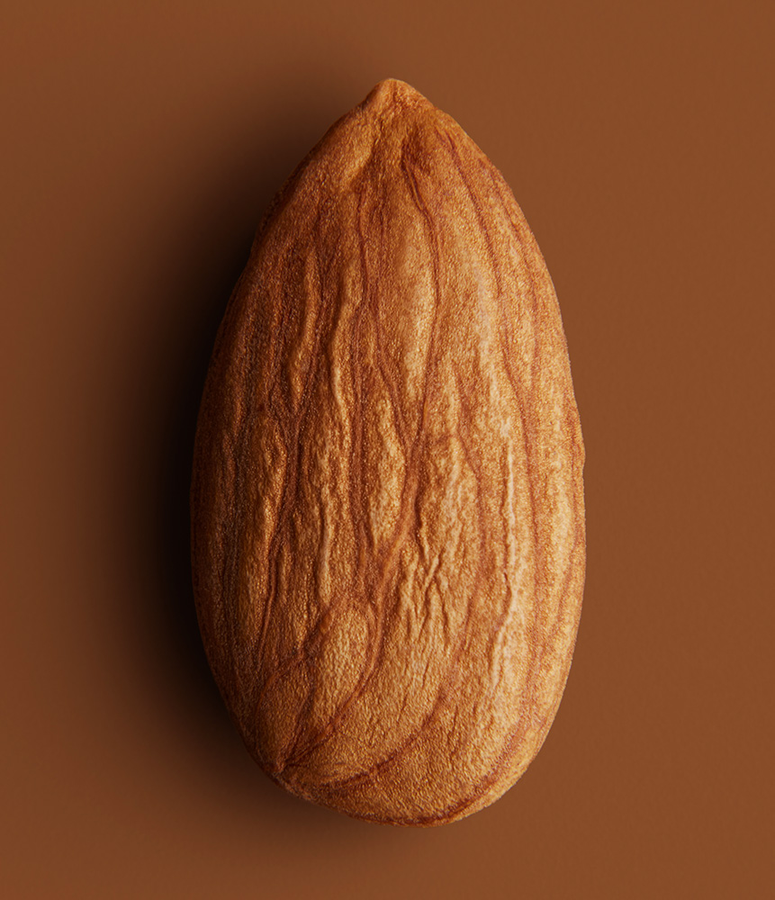 Almond photography on neutral background with close-up skills shot in White Plains, NY.